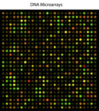 Nanotubes, nanoparticles and antibodies detect tiny amounts of fentanyl