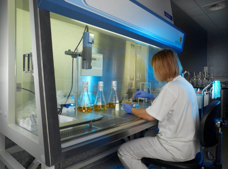 Edible, biodegradable nanofibers created from milk protein and plant cellulose