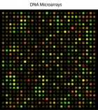 Breakthrough genomic test identifies virtually any infection in one go