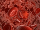 Implants made of your blood could repair broken bone