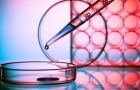 Stem cells instructed to form specific tissues and organs