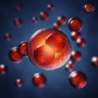 Using gas bubbles to precisely deliver nanomedicines shows promise for lung cancer treatment
