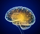 Nanocarriers breach blood-brain barrier to deliver anti-inflammatory medicine