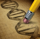NanoCas, a smaller version of CRISPR tested with a single AAV, delivers on-target results
