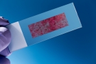 Printable molecule-selective nanoparticles enable mass production of wearable biosensors