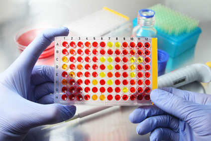 Organoid research platform allows investigation of antiviral immunity in bats