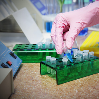 Directly converting skin cells to brain cells yields 1,000% success