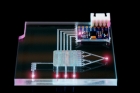 Astronaut-on-a-chip: Multi-organ tissue chips simulate space radiations impact on human health