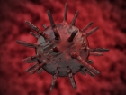 Mosaic nanoparticle vaccine approach could help combat future coronavirus pandemics