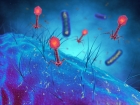 Bacteria use surprising anti-missile defense-like system to fend off viruses